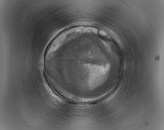 X0000093740844200711061022