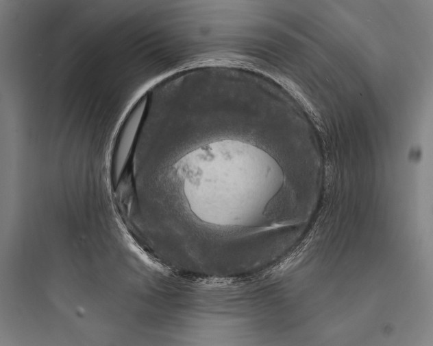 X0000093740846200711061022