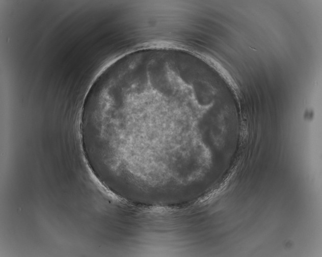 X0000093740847200711061022