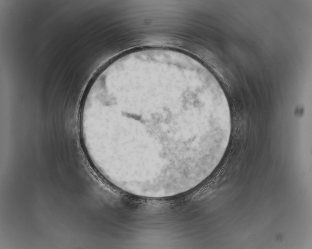 X0000093740848200711061022