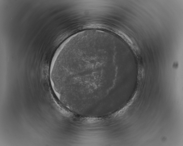 X0000093740849200711061022