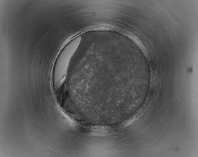 X0000093740850200711061022