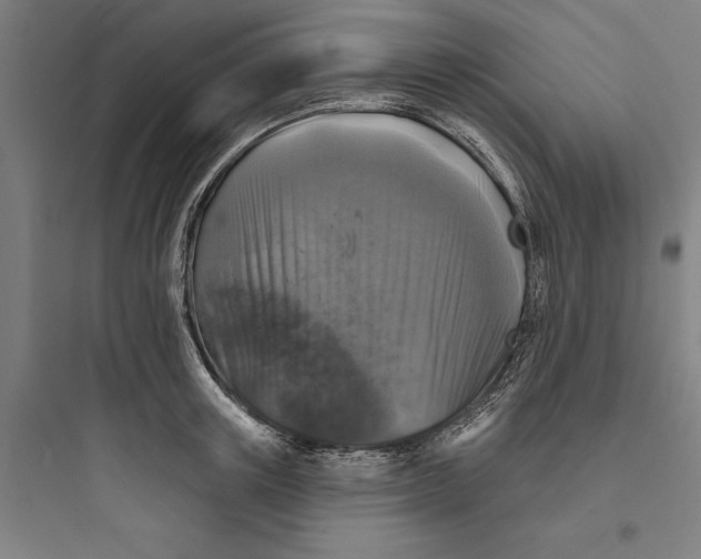 X0000093740851200711061022