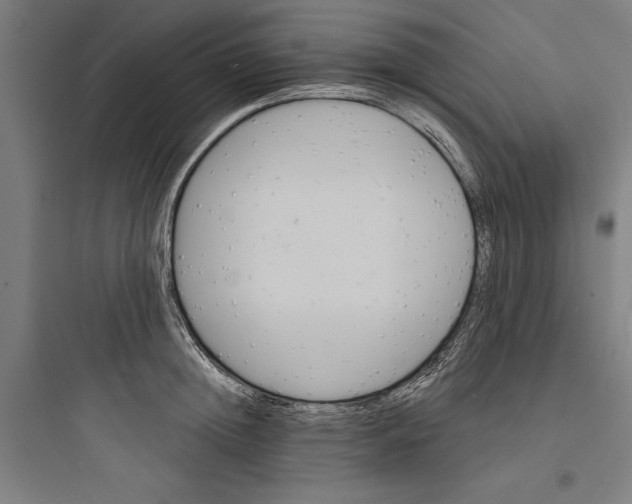 X0000093740852200711061022