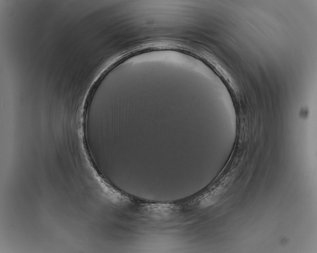 X0000093740853200711061022