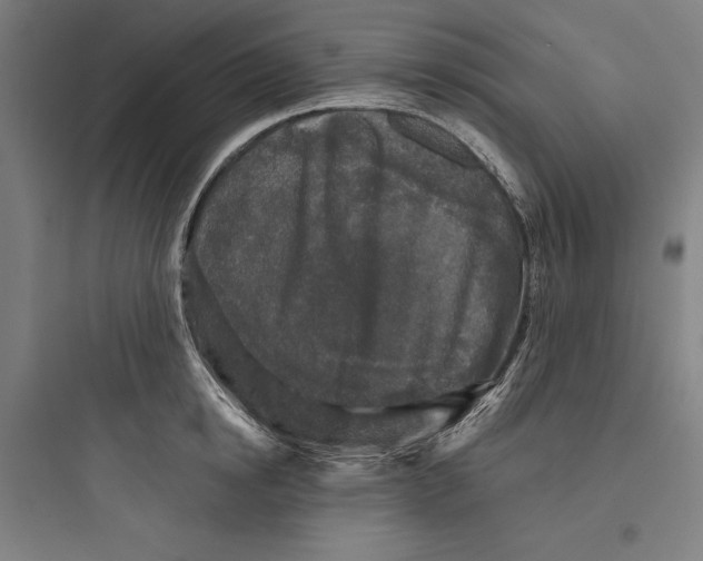 X0000093740854200711061022