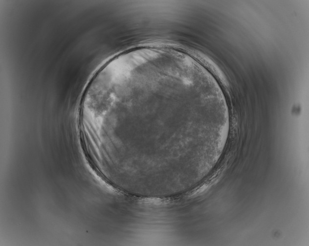 X0000093740855200711061022