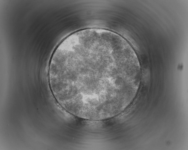 X0000093740856200711061022