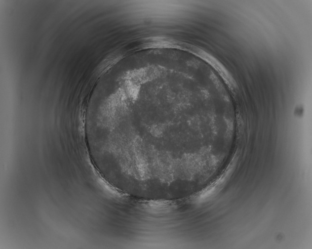 X0000093740857200711061022