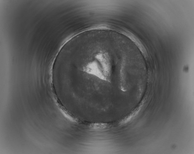 X0000093740858200711061022