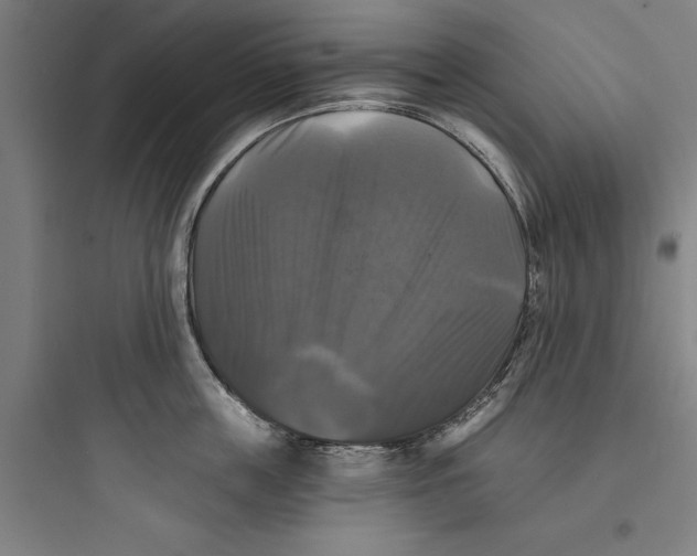 X0000093740859200711061022