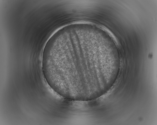 X0000093740860200711061022