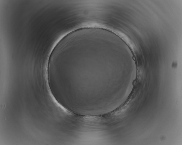 X0000093740863200711061022