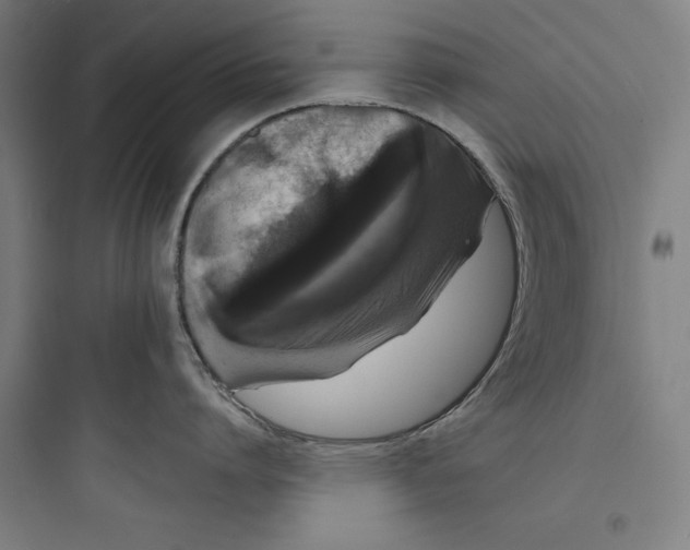 X0000093740864200711061022