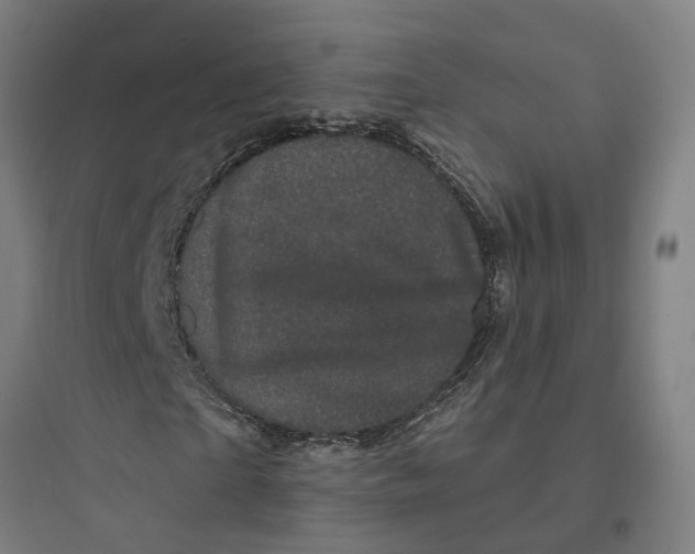 X0000093740865200711061021