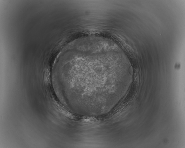 X0000093740866200711061021