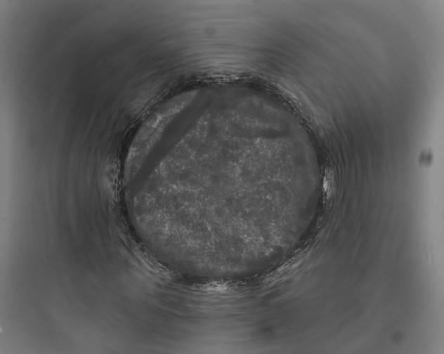 X0000093740867200711061021