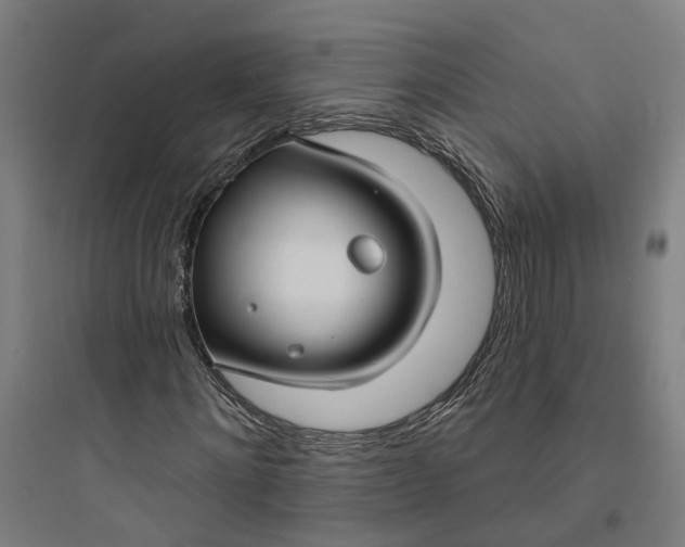 X0000093740868200711061021