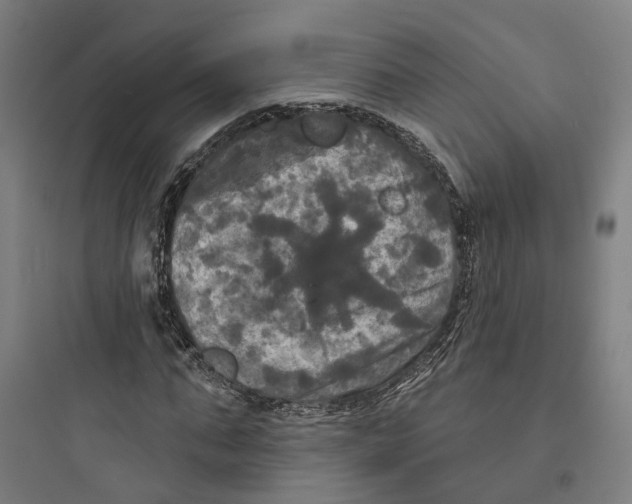 X0000093740871200711061021