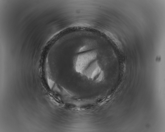 X0000093740872200711061021