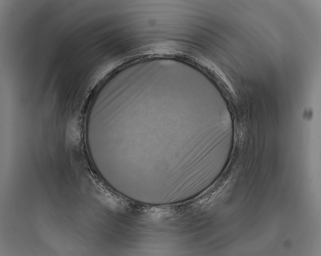 X0000093740874200711061021