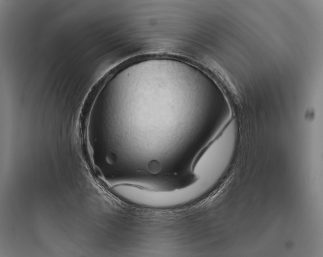 X0000093740876200711061021