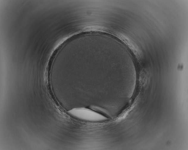 X0000093740877200711061021