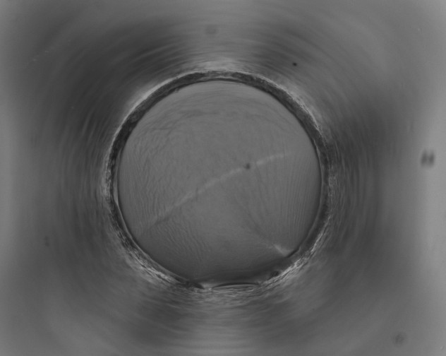 X0000093740879200711061021