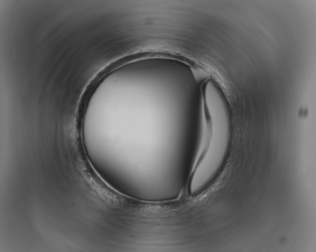 X0000093740880200711061021