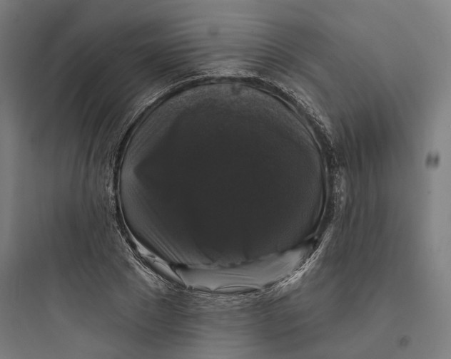 X0000093740881200711061021