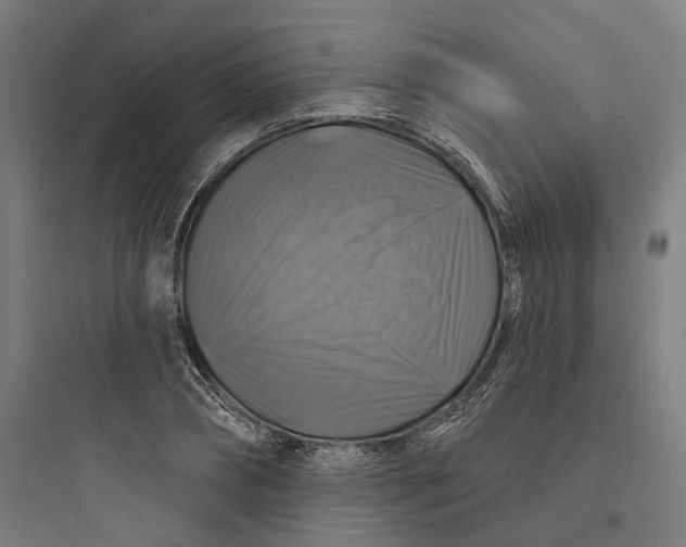 X0000093740882200711061021