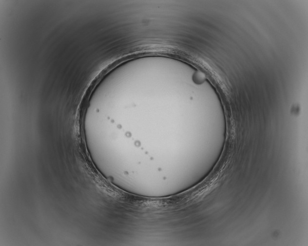 X0000093740883200711061021