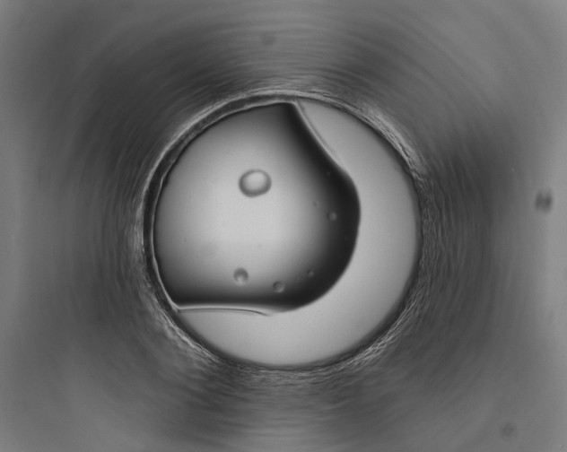 X0000093740884200711061021