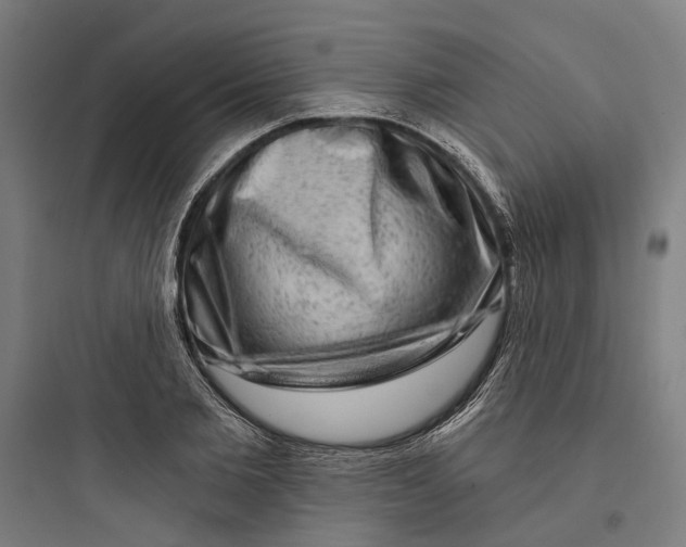 X0000093740885200711061021