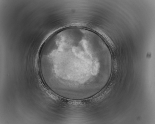 X0000093740886200711061021