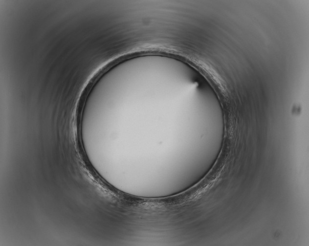 X0000093740888200711061021