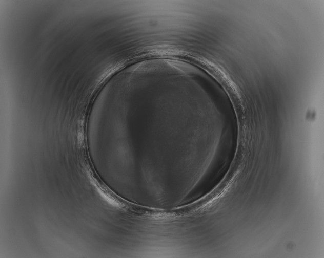 X0000093740889200711061021