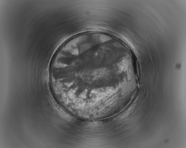 X0000093740891200711061021