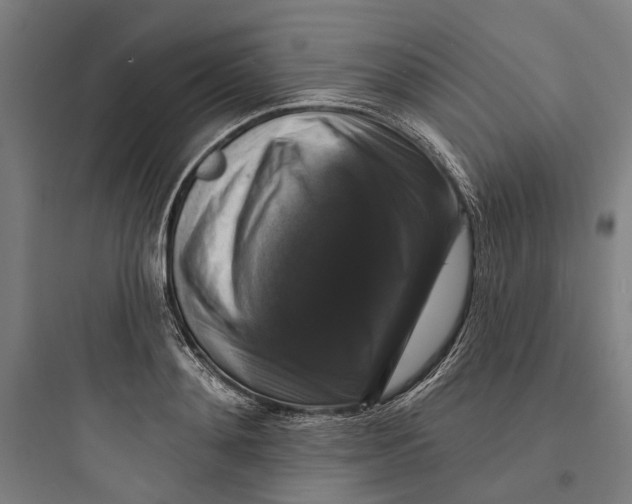 X0000093740892200711061021