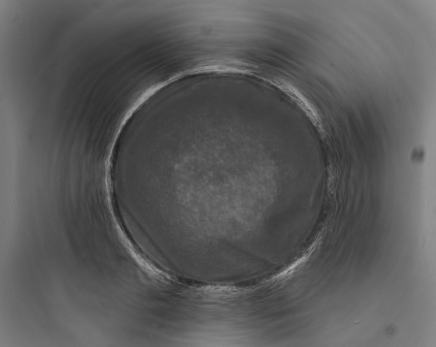 X0000093740893200711061021