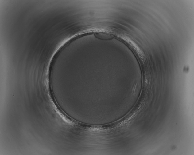 X0000093740894200711061021