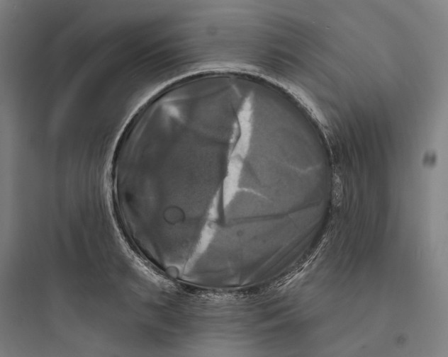 X0000093740895200711061021