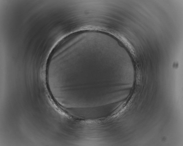 X0000093740896200711061021