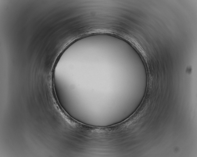 X0000093740898200711061021