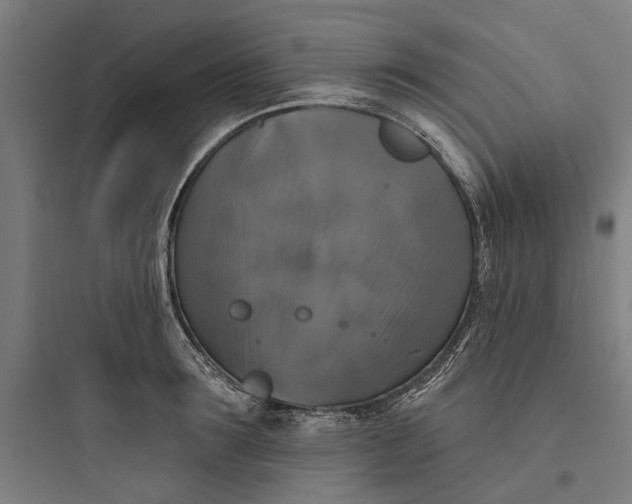 X0000093740899200711061021