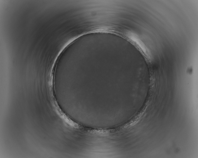 X0000093740900200711061021