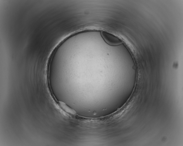 X0000093740902200711061021