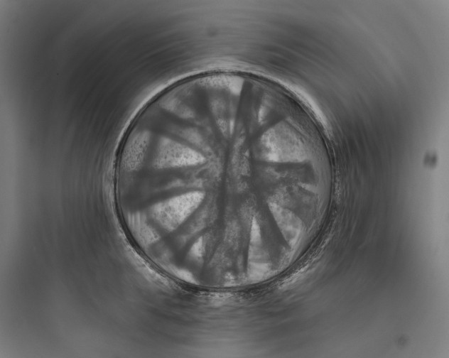 X0000093740903200711061021