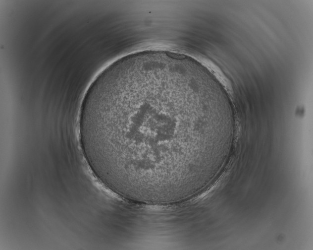 X0000093740904200711061021