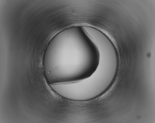 X0000093740905200711061021